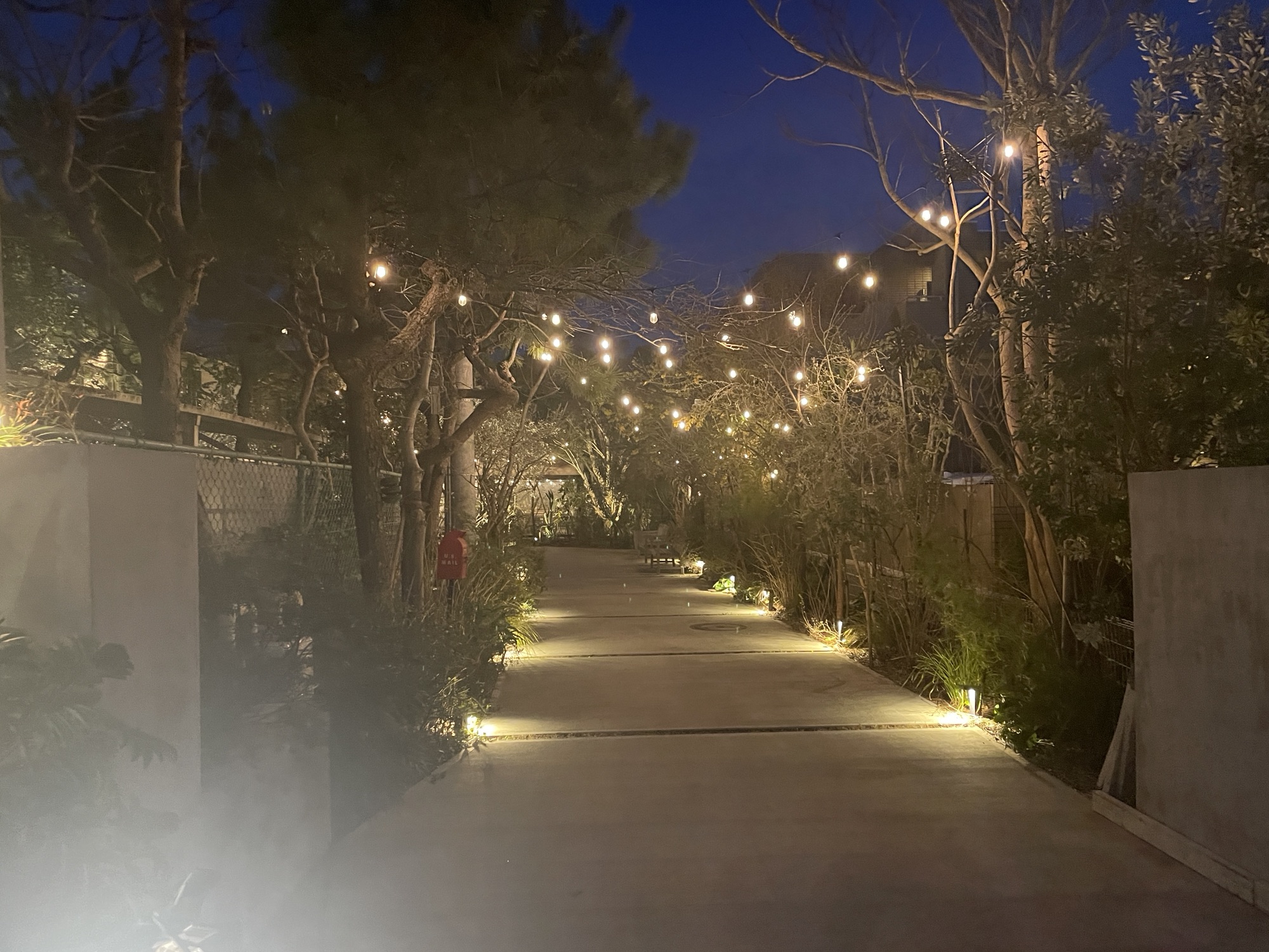 My Top 3 Restaurants I’ve been to Recently