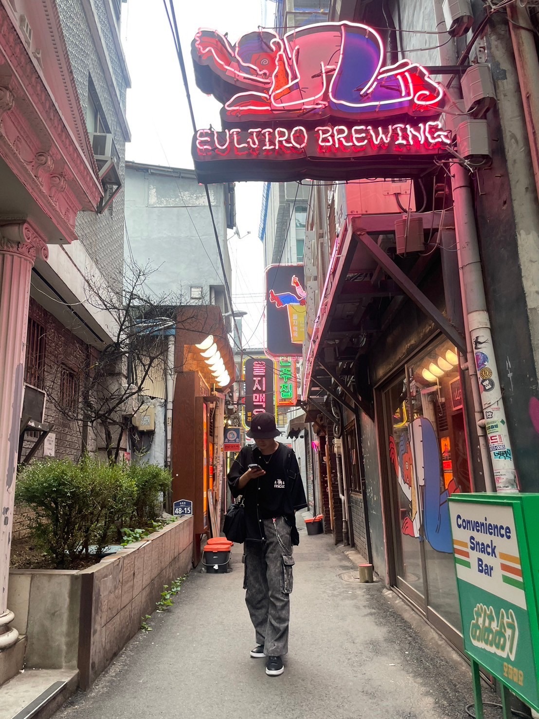 Trip In Seoul: Recap Walking Around Seoul And Having Korean Foods