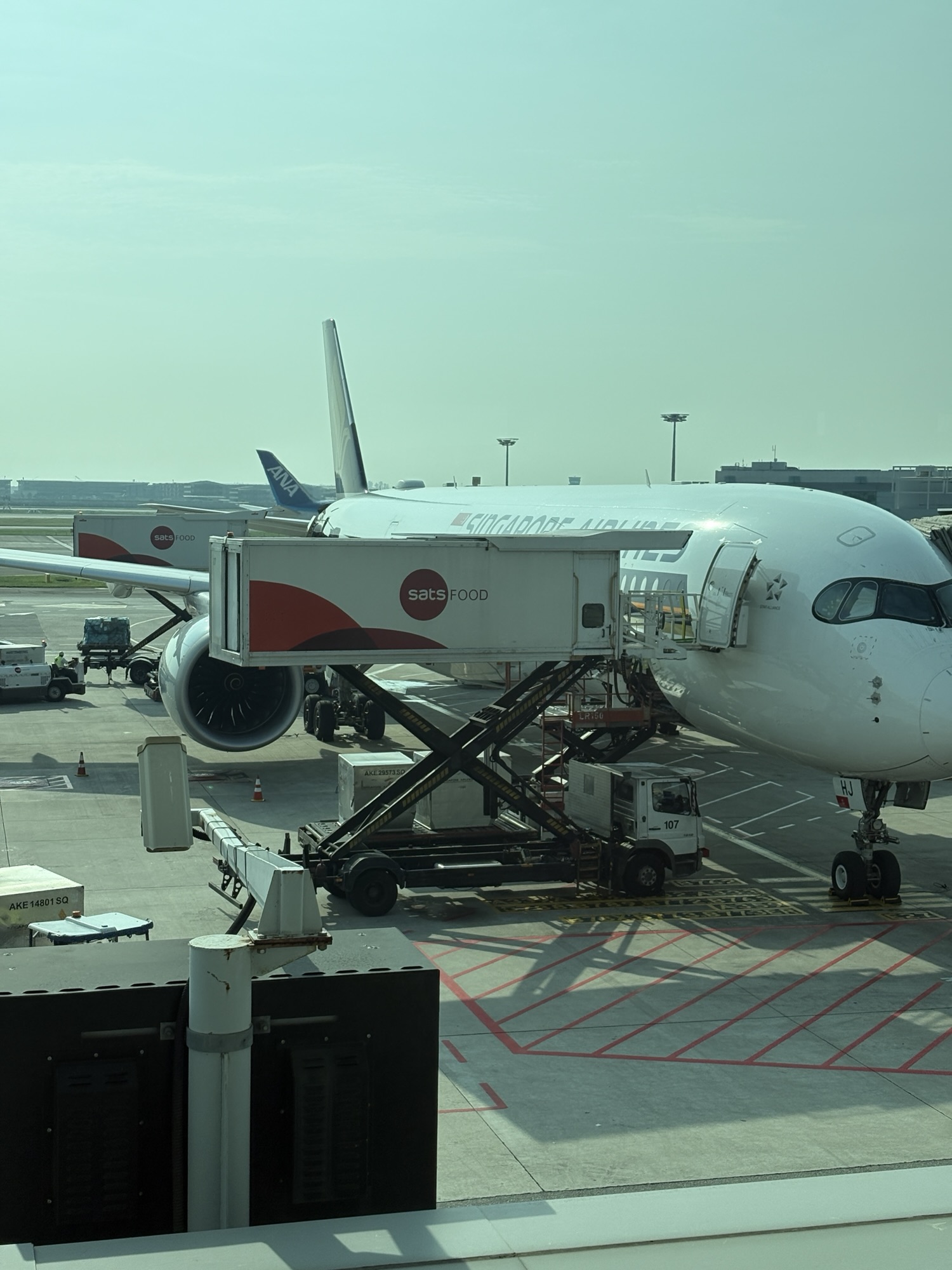 Just Celebrate! That’s It!