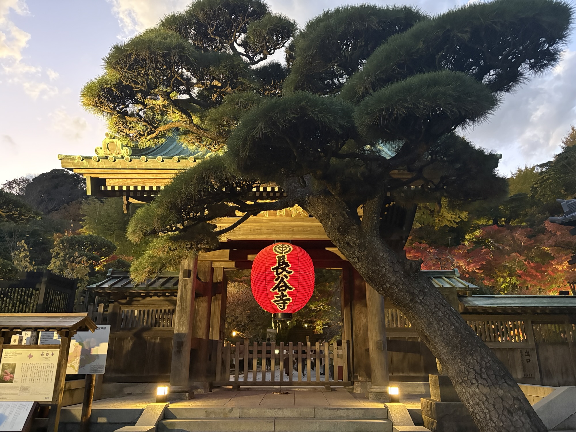 Hase Temple: The Most Famous Japanese Garden In Kamakura