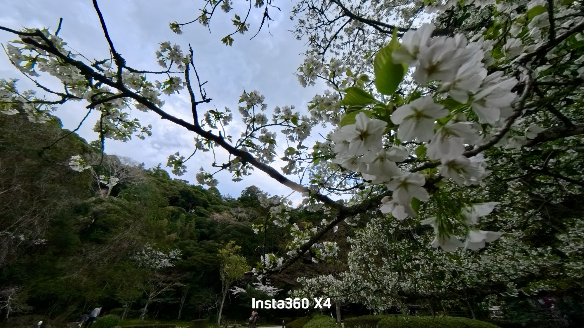 Last Year And Last Feburary Was Dramatic Time For Me