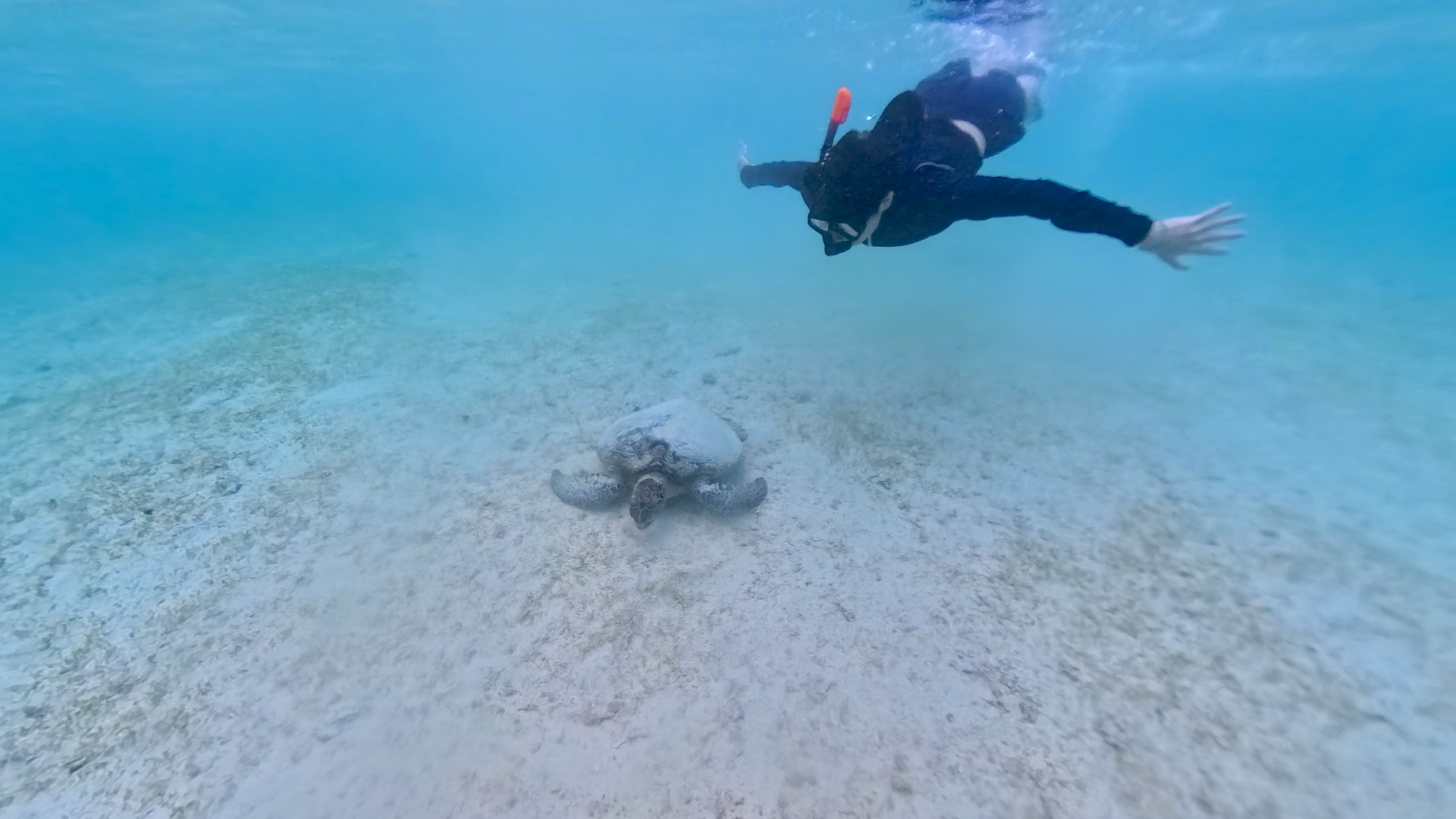 Miyakojima: My Snorkeling　Adventure At Aragusuku Beach