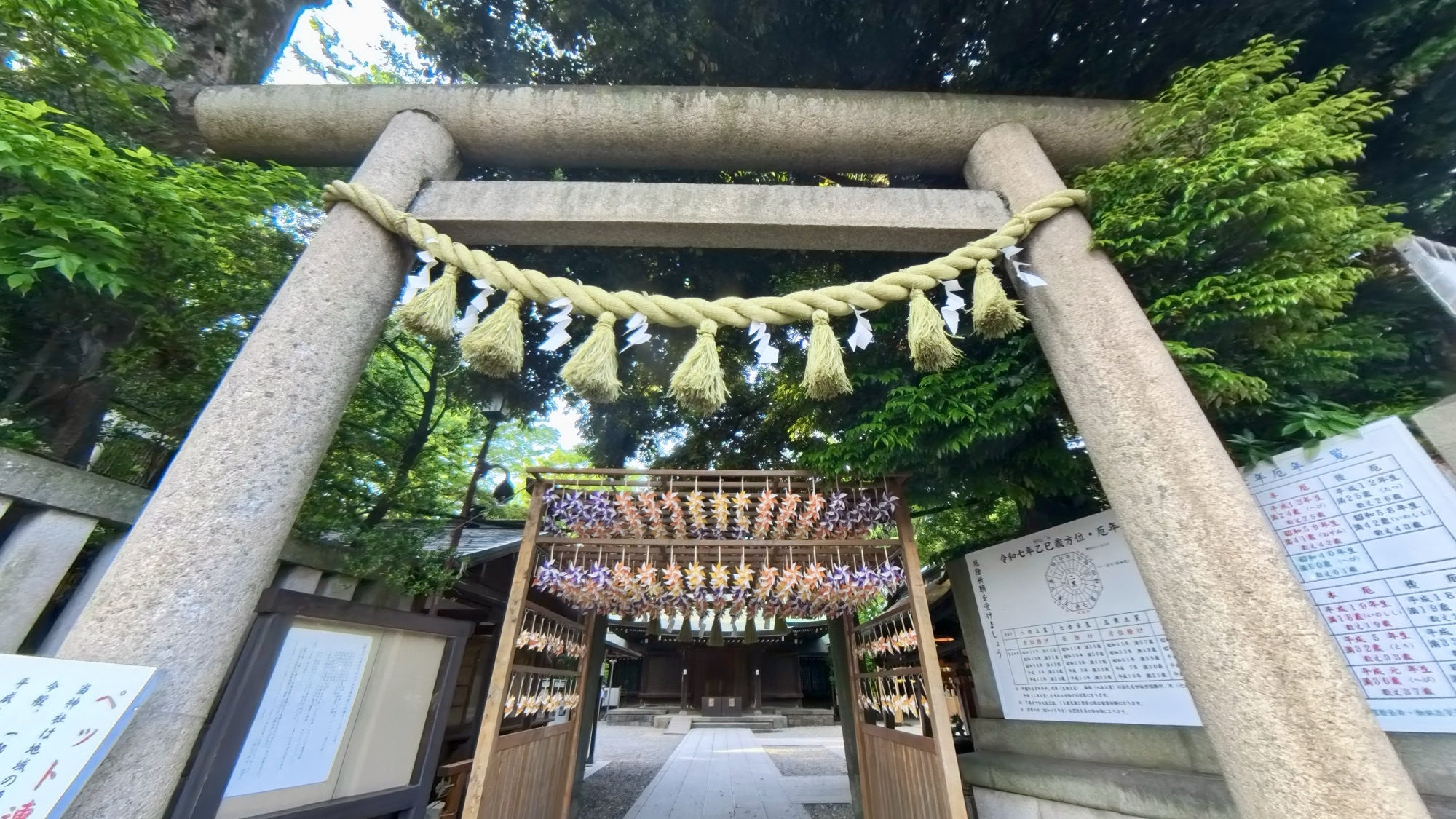 From Blogging to Interpreting: My Journey Toward Deep Travel