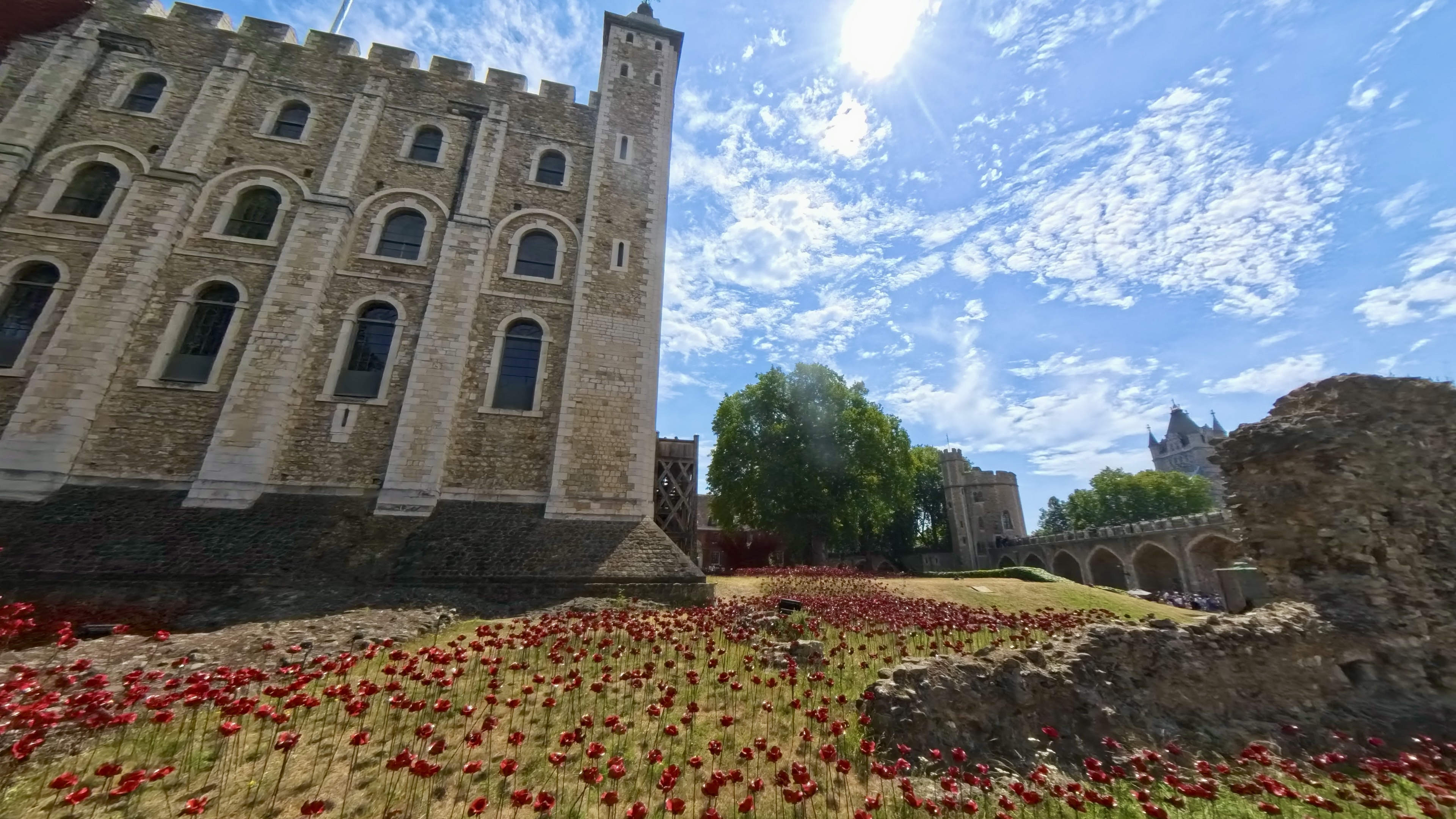 I Think Creativity And Aroma Make Me Relax