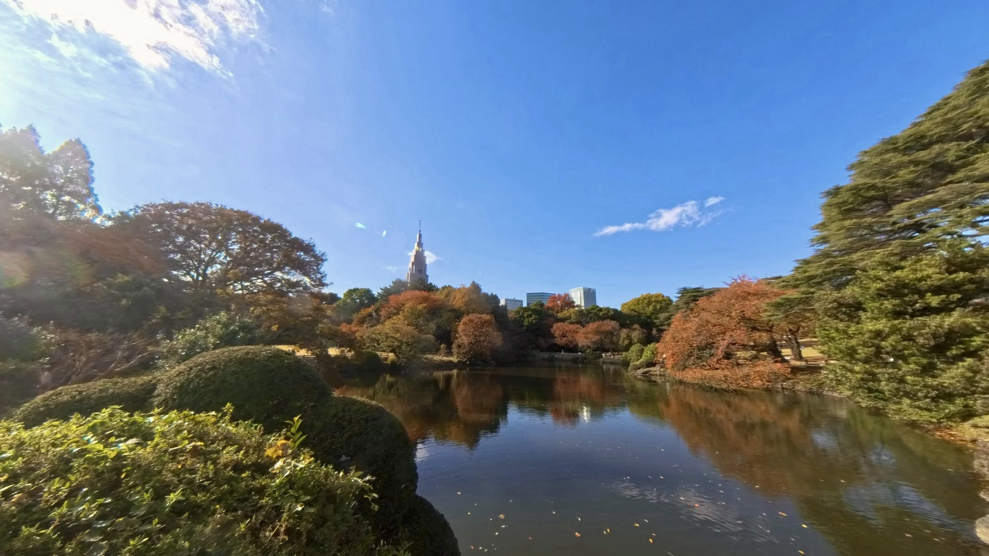 Shinjuku Gyoen in Fall: Stunning Autumn Colors in the Heart of Tokyo