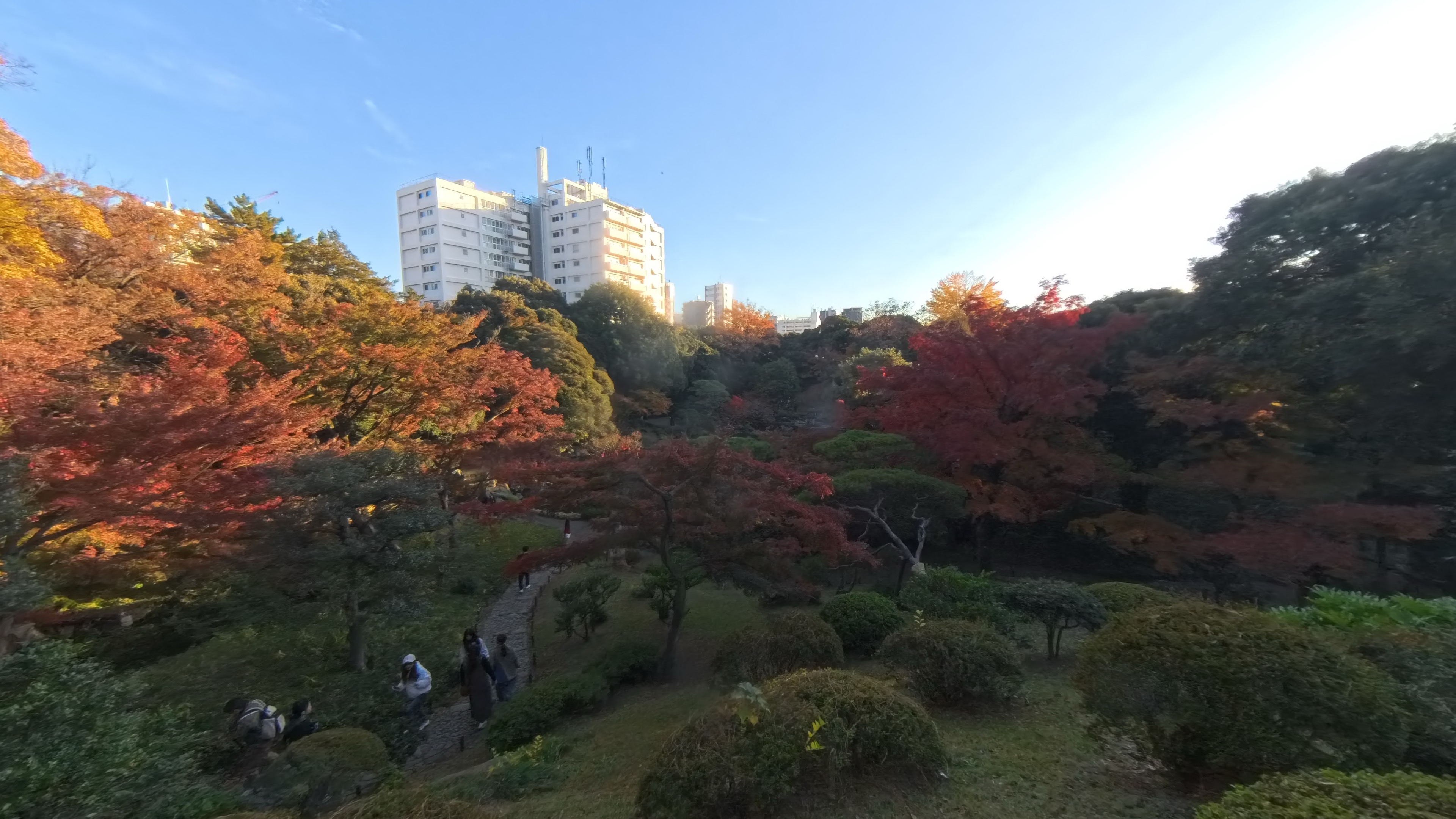 Discover Tokyo’s Most Unique Autumn Garden: The Historic Kyu-Furukawa Estate