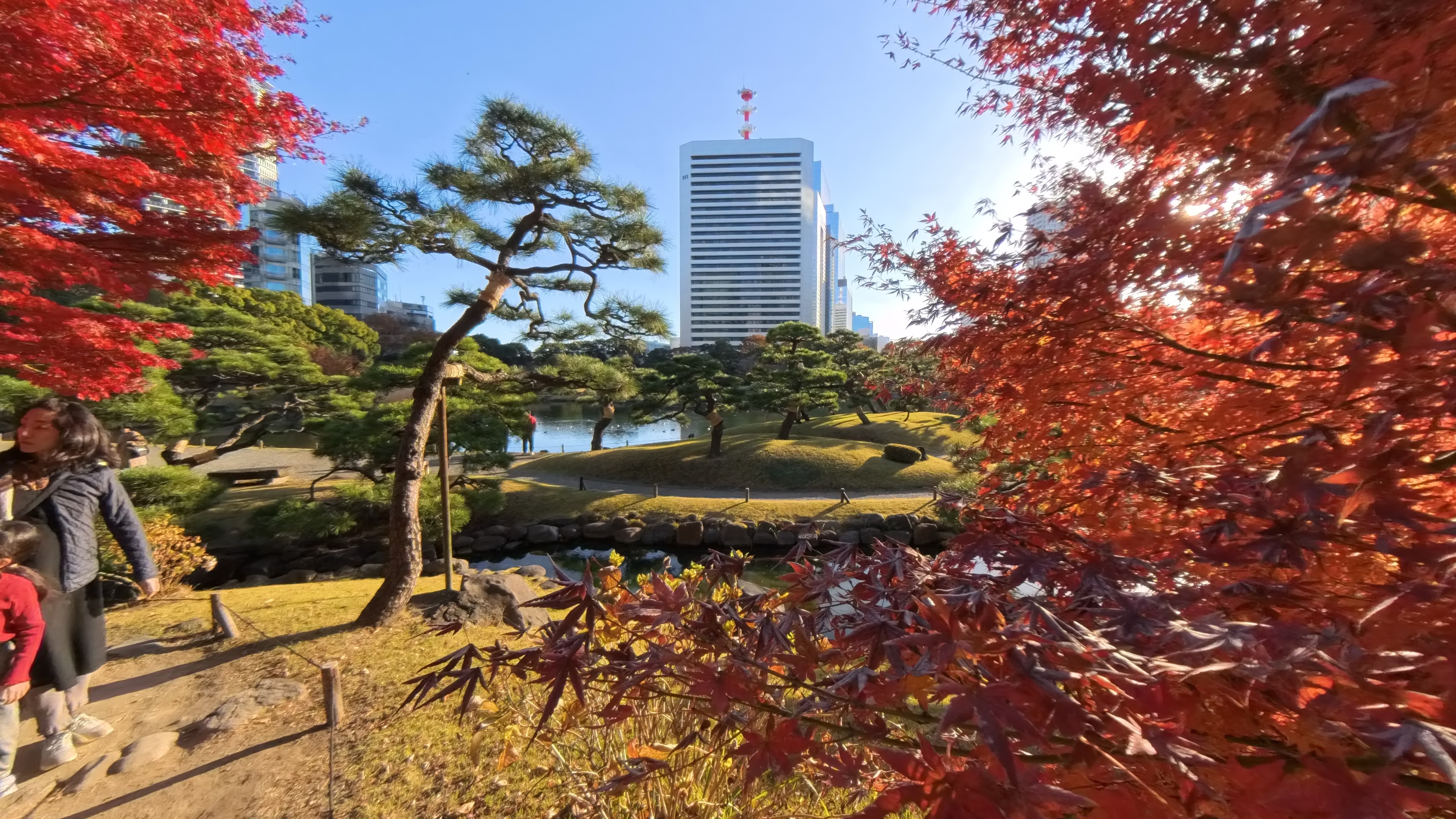 Hamarikyu Gardens: Tokyo’s Hidden Oasis of Calm and Autumn Colors