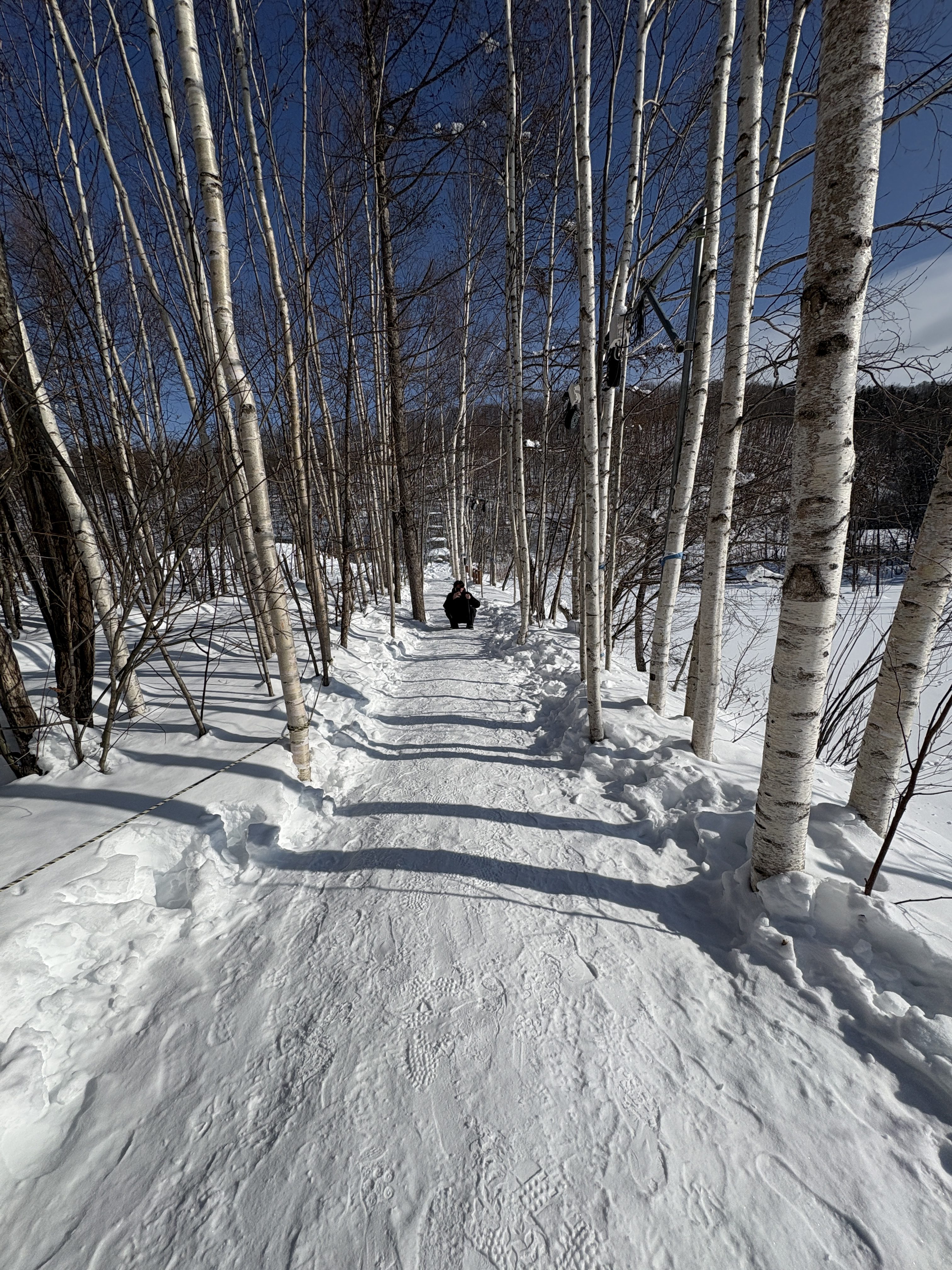 A Perfect Day Trip from Asahikawa: How to Enjoy Biei and the City in One Relaxed Day